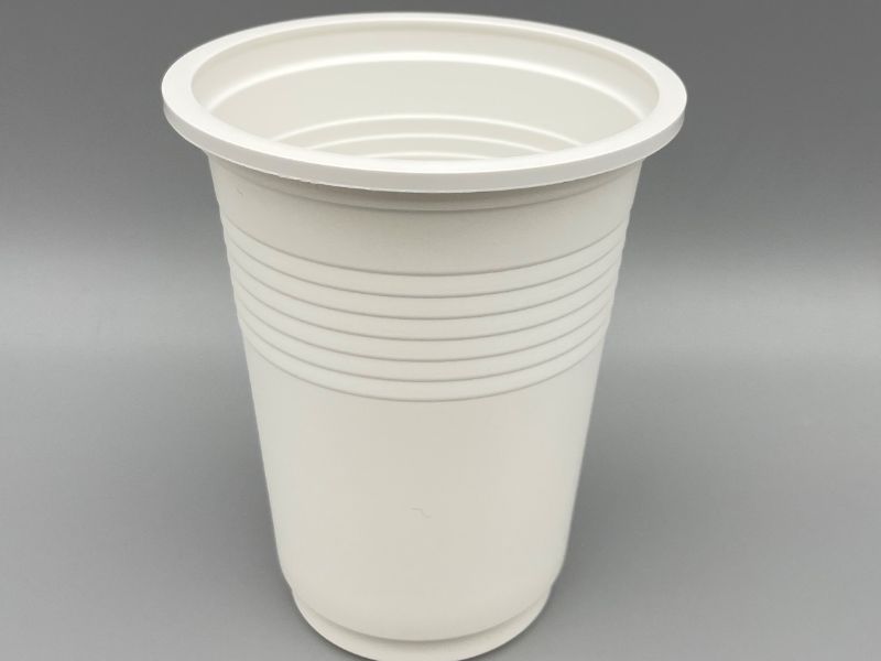 12OZ Cornstarch Cup12